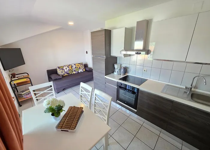 Apartamento Damir With Terrace